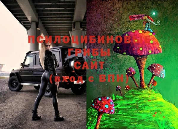 ECSTASY Липки