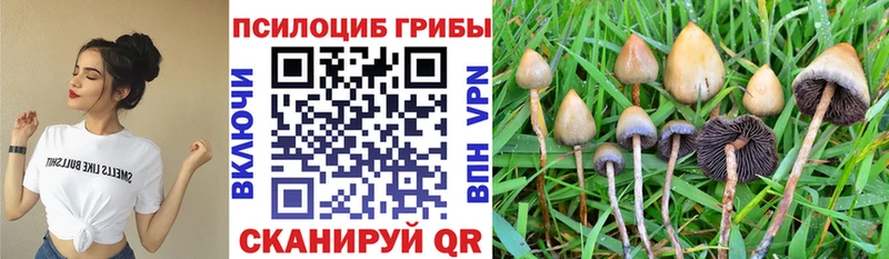 Псилоцибиновые грибы Magic Shrooms  Чулым 